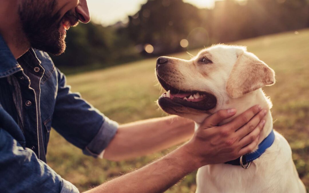 Reico ist das beste Hundefutter auf dem Markt, mit hohem Fleischanteil und ohne Chemie. Die rein natürlichen Zutaten fördern die Gesundheit und Lebensfreude deines Hundes nachhaltig.