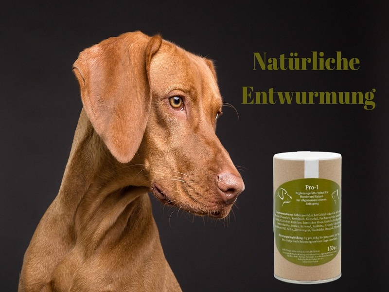 Die natürlichen Inhaltsstoffe in Reico Naturkraft Pro 1 sind nicht nur effektiv bei der Entwurmung, sondern auch schonend für den Organismus deines Hundes.