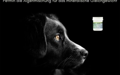 Petmin von Reico, die Algenmischung für das mineralische Gleichgewicht deines Hundes